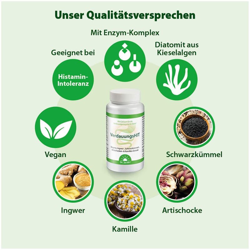Dr.Jacob s Verdauungshit 90 Tabletten