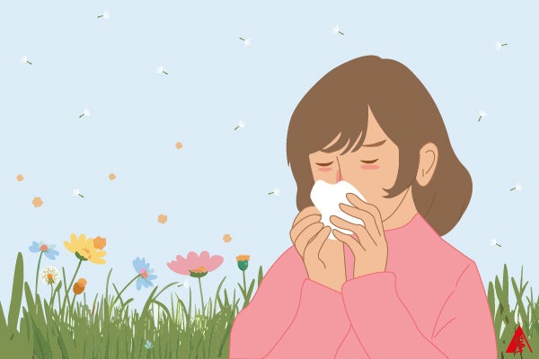 Heuschnupfen: Behandlung und Therapie der Allergie
