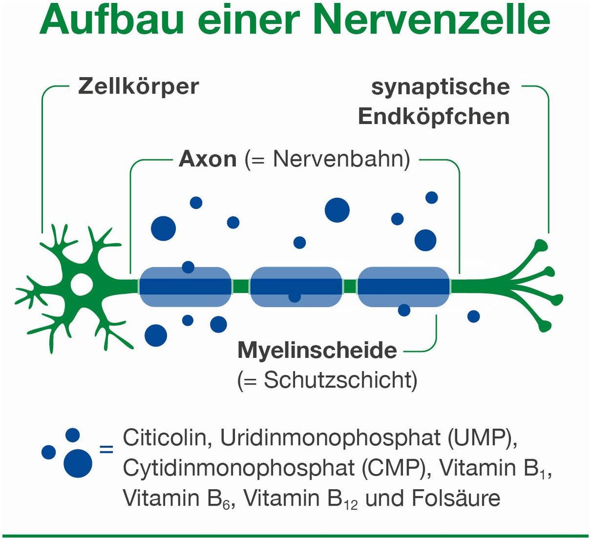 Neurologes Concept 60 Kapseln