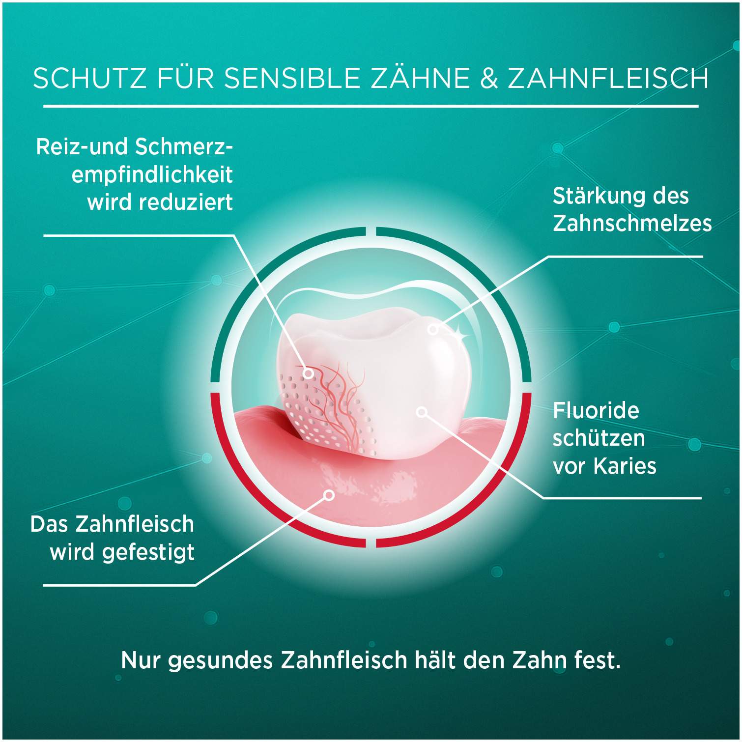 Lacalut sensitiv Remineralisierung & Sanftes Weiß Zahncreme 75 ml