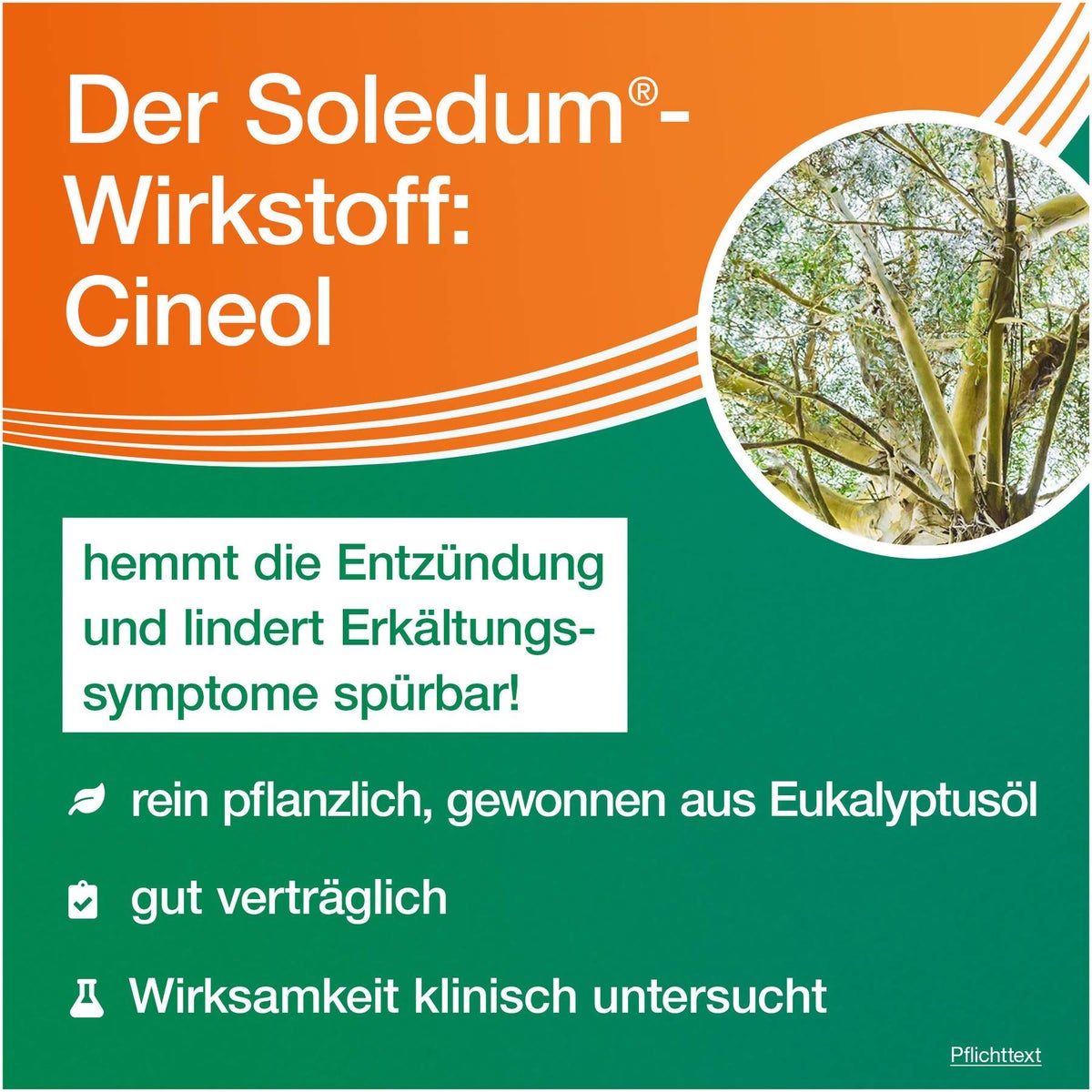 Soledum Kapseln Junior 100 mg 20 magensaftresistente Kapseln