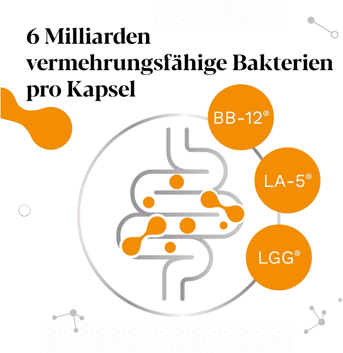 IberoBiotics Pro 30 Kapseln