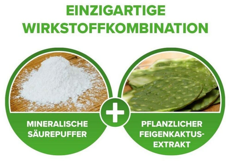 Refluthin Kautabletten Minzgeschmack 16 Stück