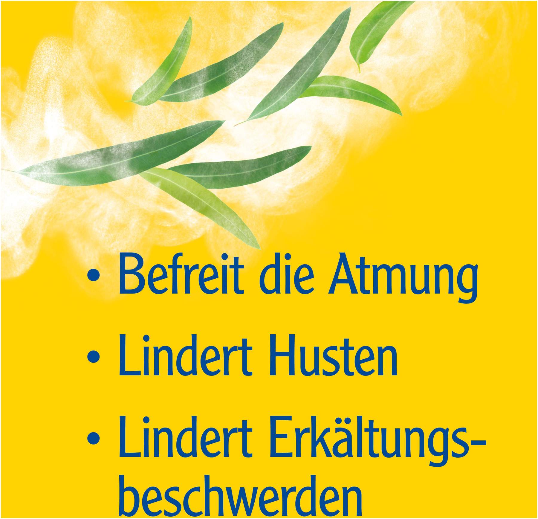 Pinimenthol 190 ml Erkältungsbad für Kinder ab 2 Jahren