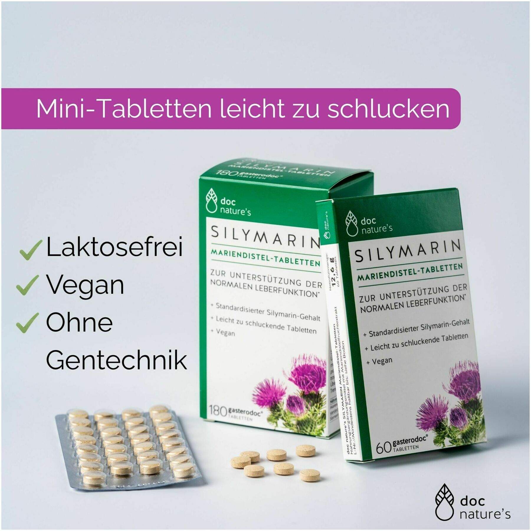 Gasterodoc Silymarin Mariendistel 60 Tabletten