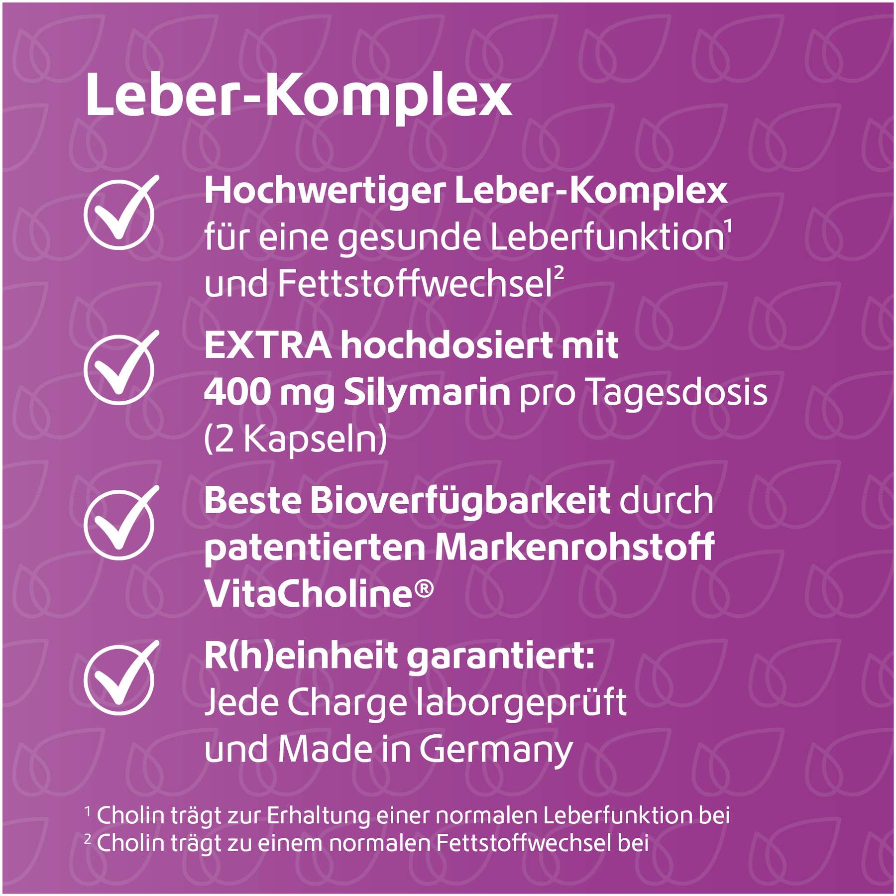 Leber-Komplex Mariendistel + Artischocke + Cholin 120 Kapseln