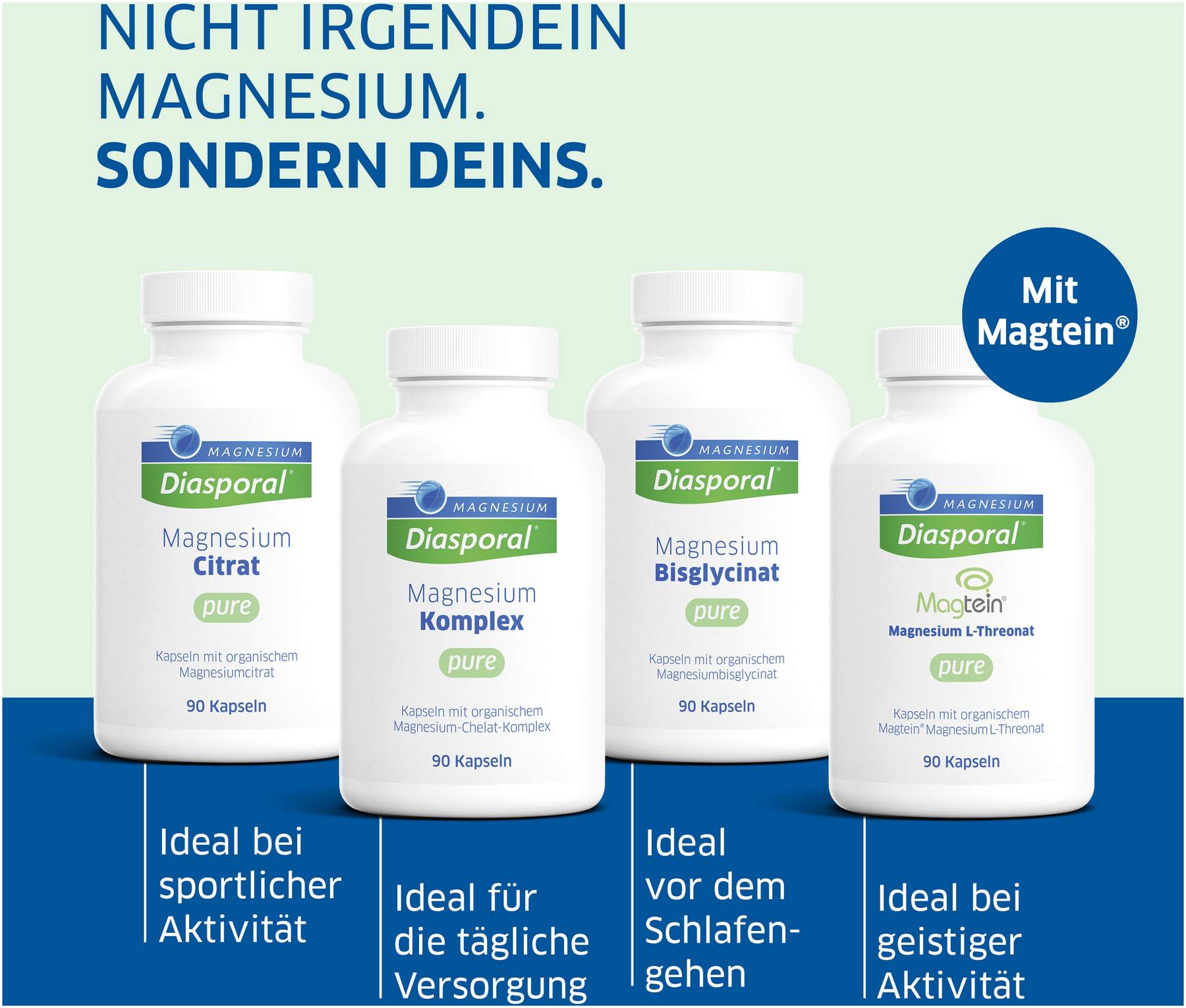 Magnesium Diasporal Komplex pure 90 Kapseln