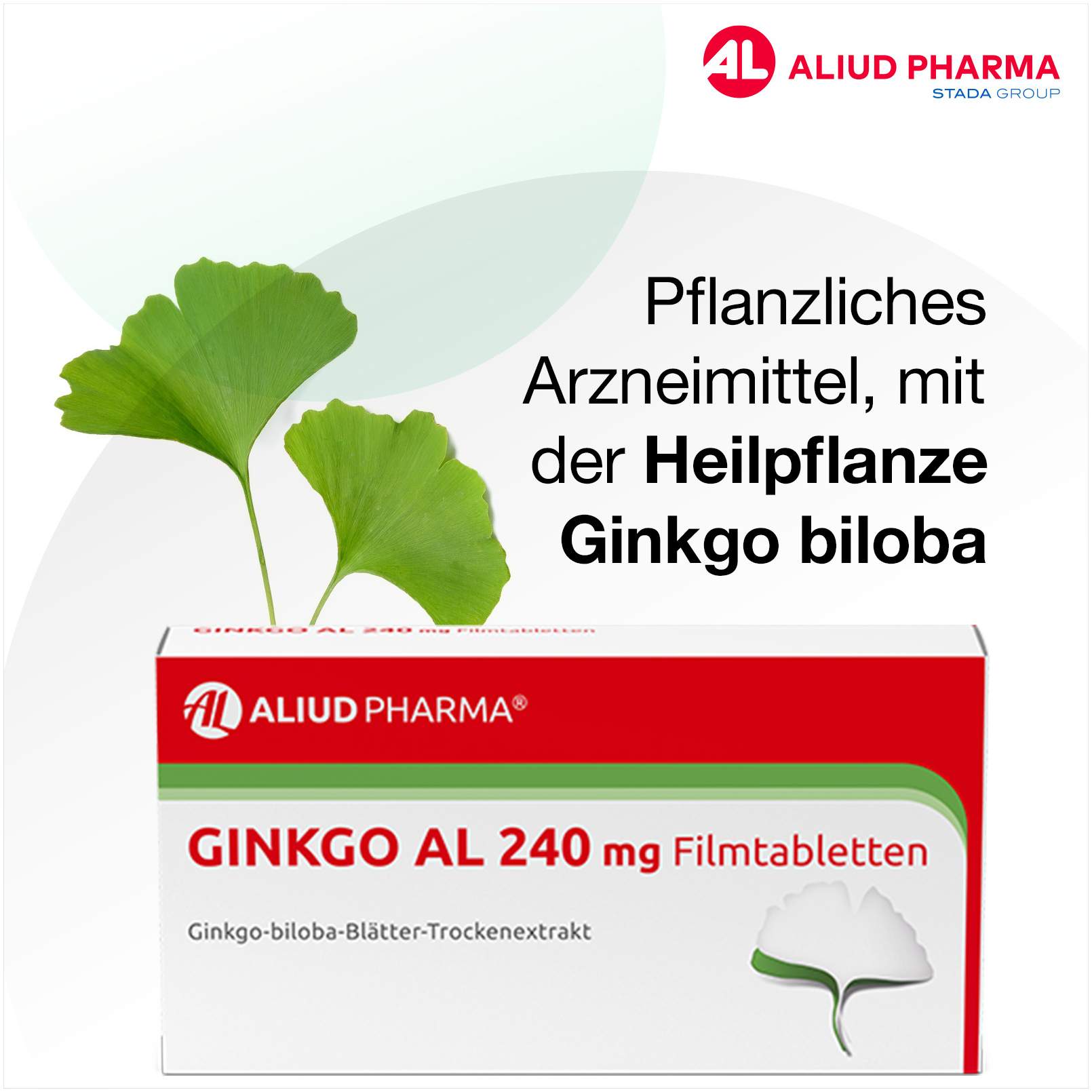 Ginkgo Al 240 mg 30 Filmtabletten