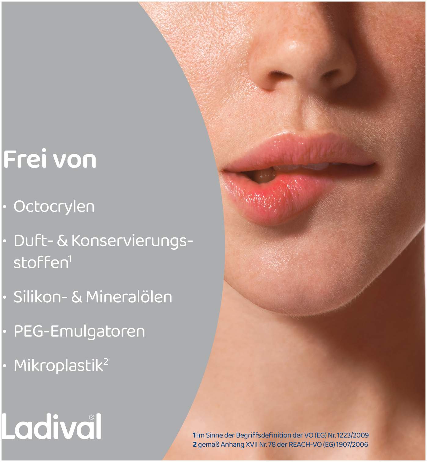 Ladival Aktiv UV-Schutzstift Lippen LSF 50+ 1 Stift