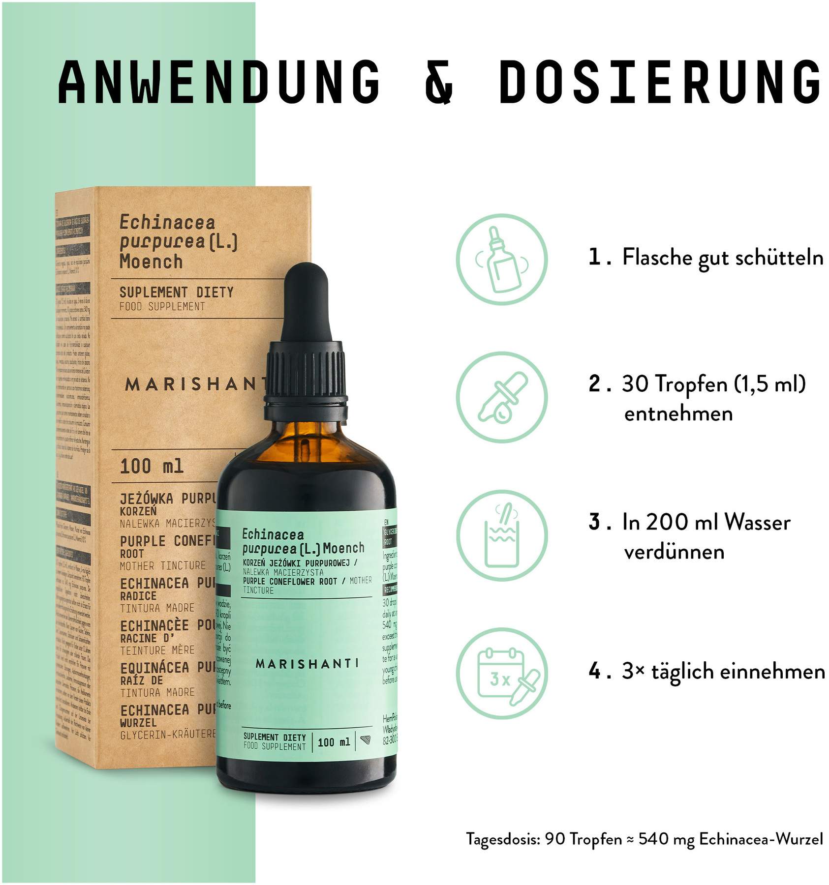 Echinacea Wurzel Extrakt Tropfen alkoholfrei 100 ml