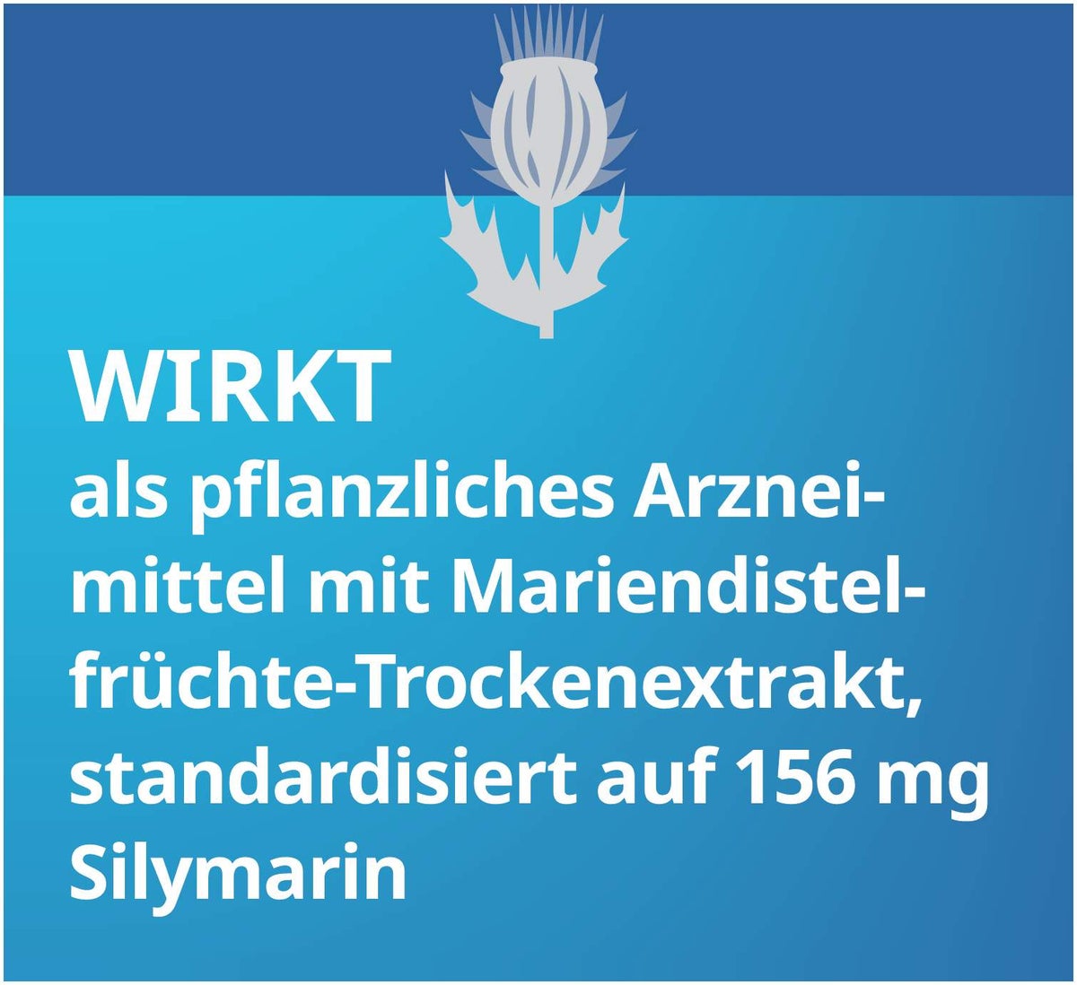 Silymarin Stada 156 mg 100 Hartkapseln