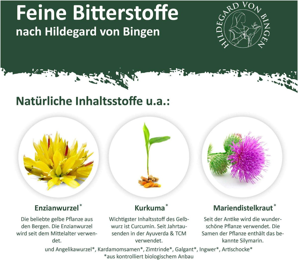 Bitterkraft Original Bitterstoffe Tropfen 100 ml