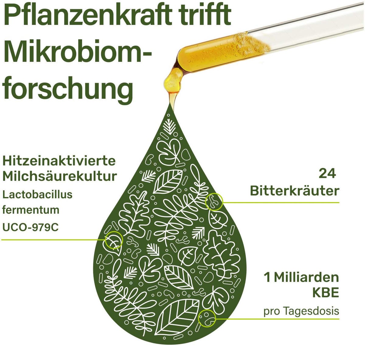 Nupure Proba Bitter Naturkräuter Tropfen Forte 50 ml