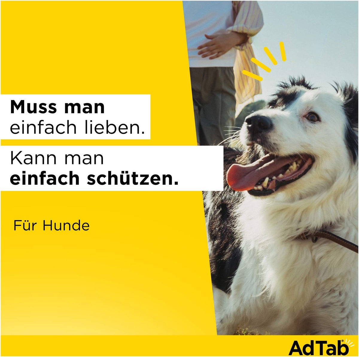 AdTab 225 mg für mittelgroße Hunde (5,5-11 kg) 3 Kautabletten
