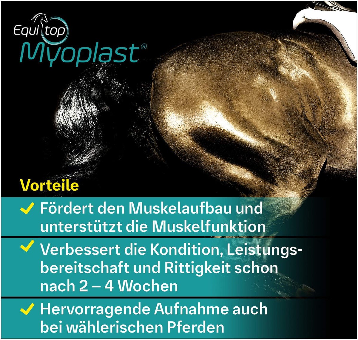Equitop Myoplast 1,5 kg Granulat