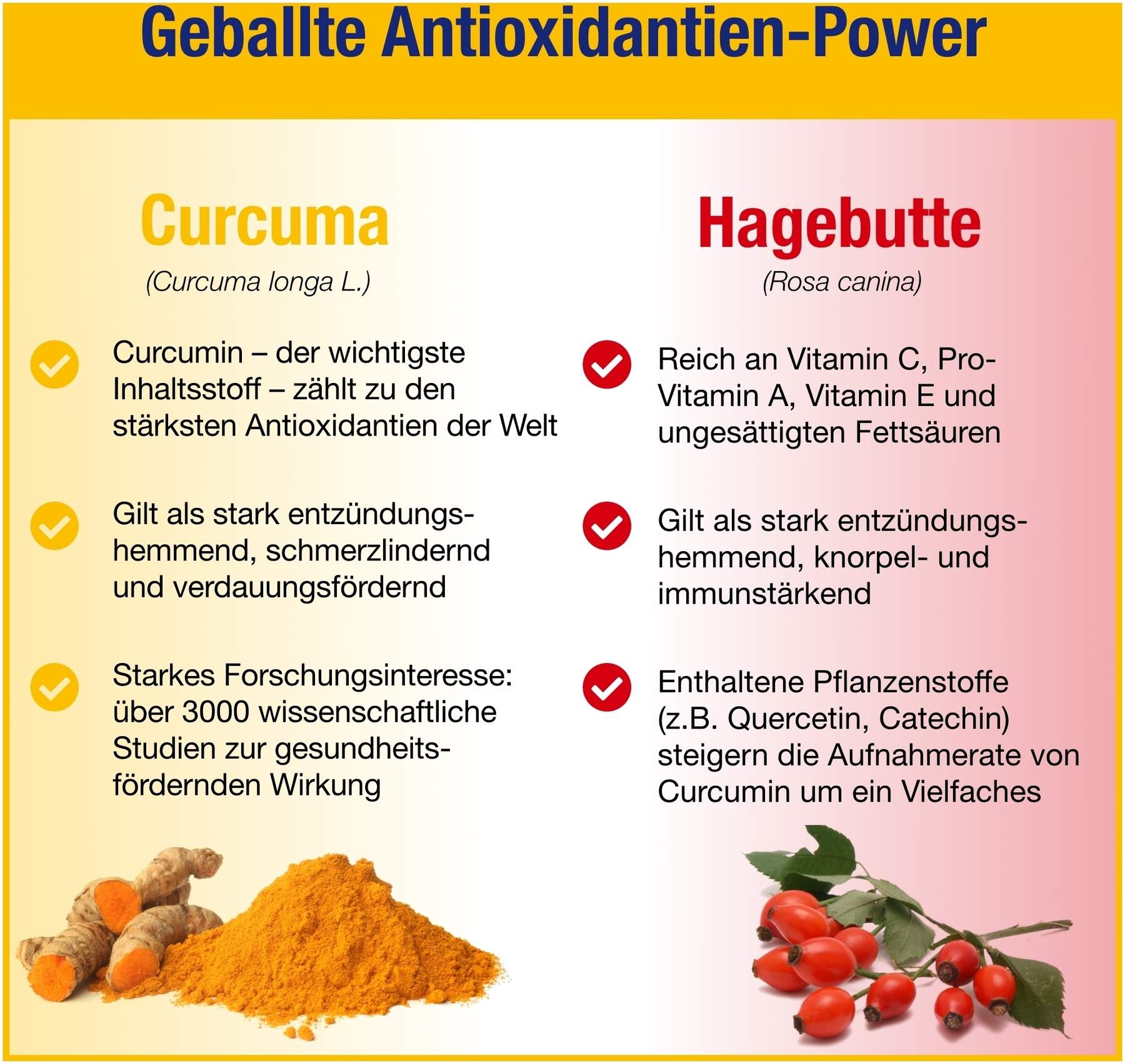 Gelencium Curcuma Plus 60 Kapseln
