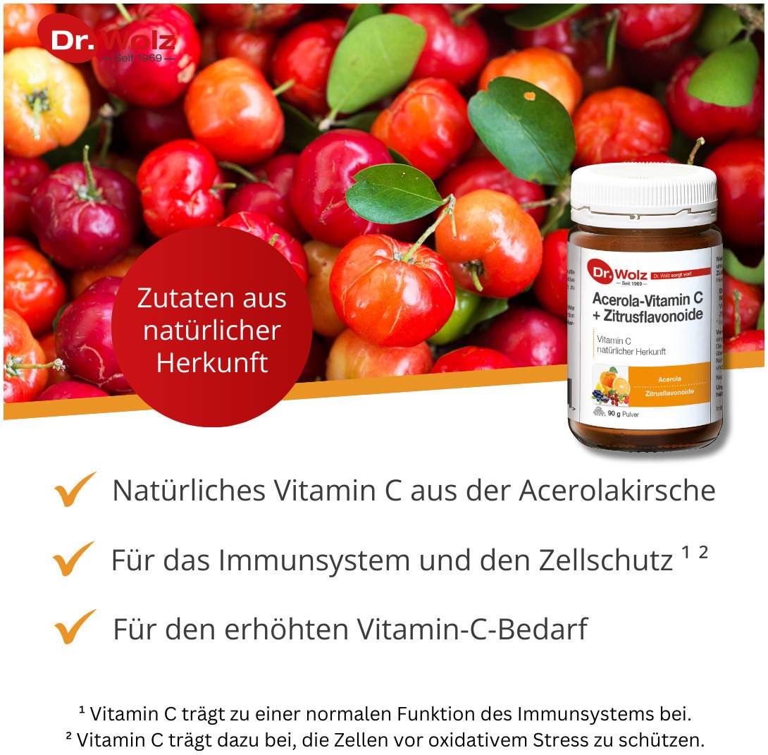 Vitamin C + Bioflavonoide Dr.Wolz Pulver