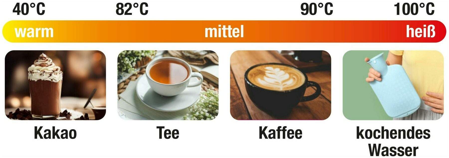 Edelstahl Wasserkocher mit Digitalanzeige