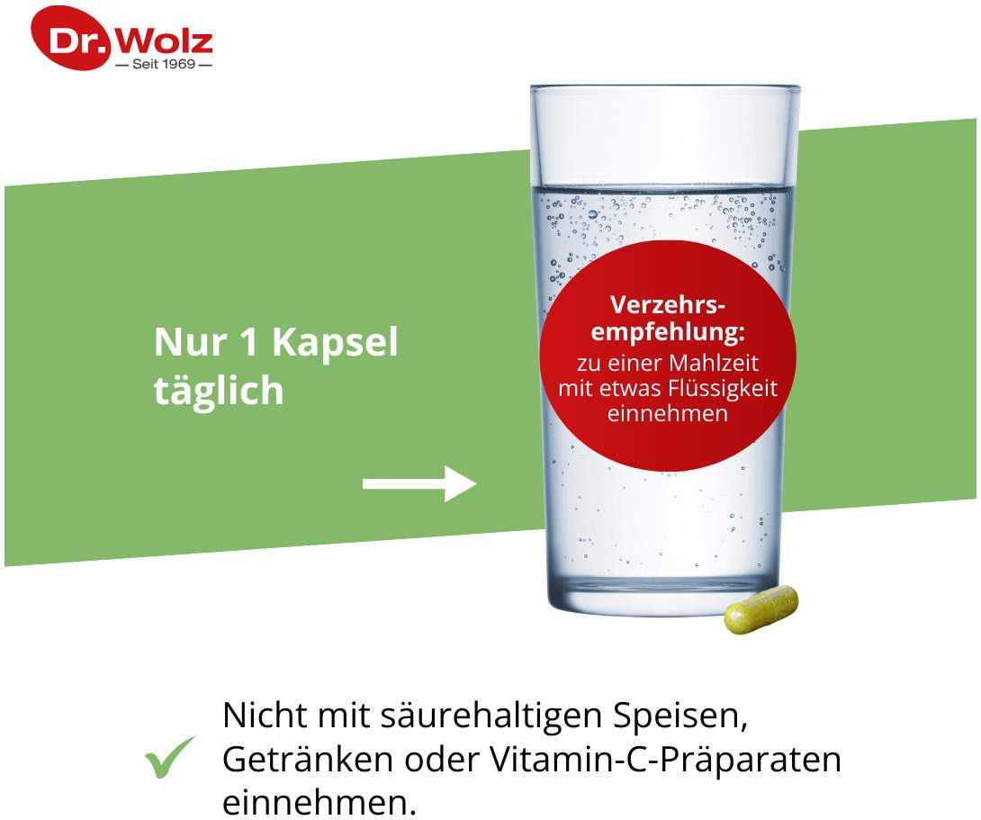 Brokkoli Extrakt + Aktiv-Enzym Dr. Wolz 60 Msr. Kapseln