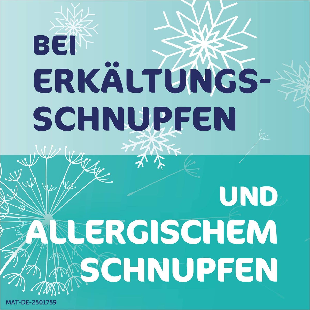 Rhinospray Plus bei Schnupfen mit Feindosierer 10 ml
