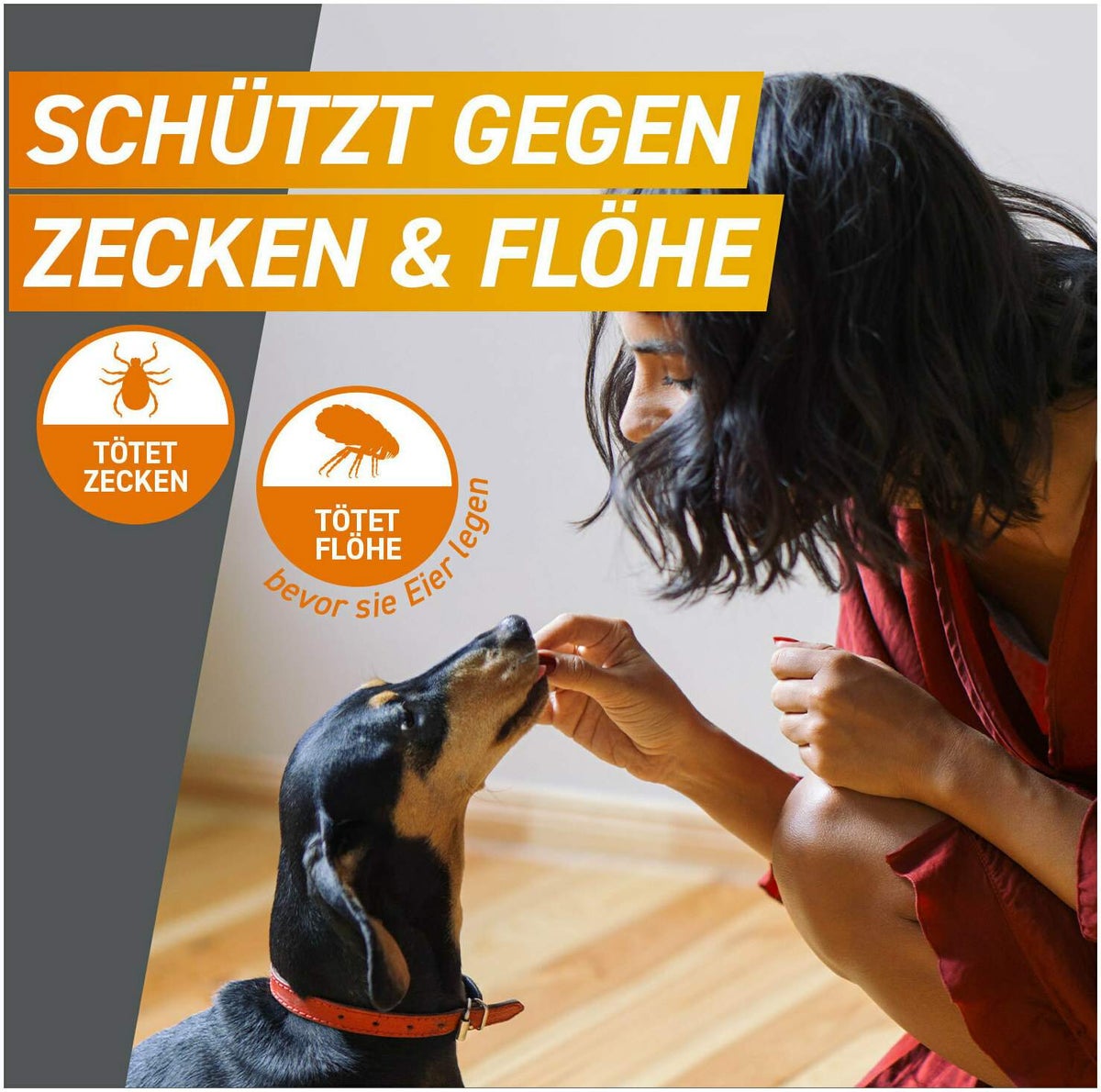 Frontpro 11,3 mg für Hunde 2 - 4 kg 3 Kautabletten