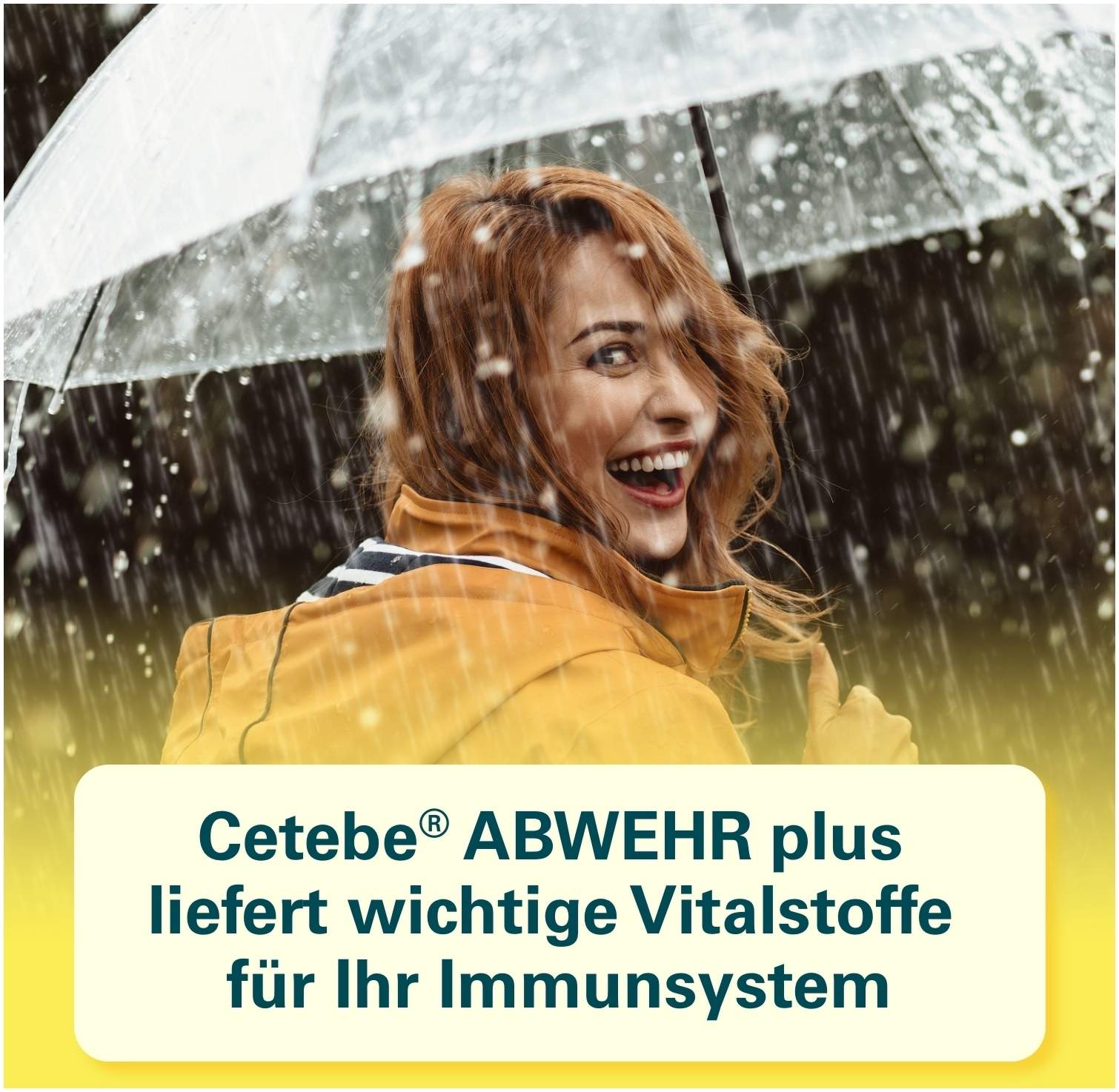 Cetebe Abwehr plus Vitamin C+Vitamin D3+ Zink 30 Kapseln