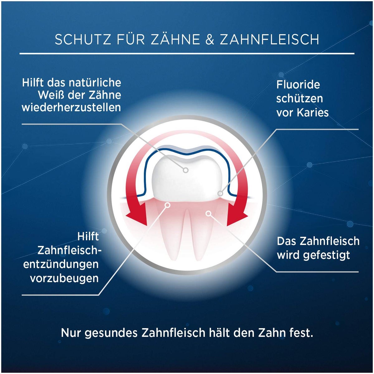 Lacalut Aktiv Zahnfleischschutz & Sanftes Weiss 75 ml Zahnpasta
