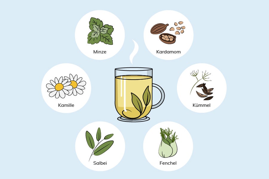Kräutertee gegen Bauchschmerzen: Vor allem Fenchel, Kamille, Minze und Salbei helfen.