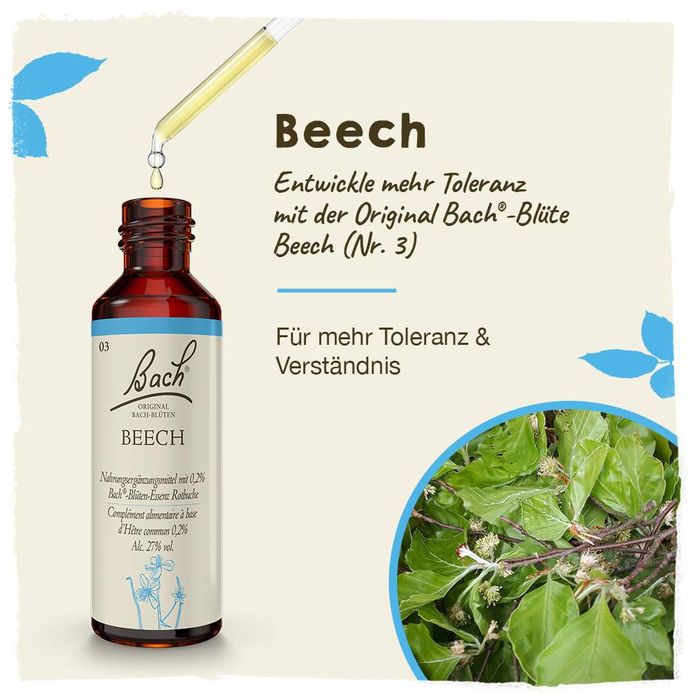 Bachblüten Beech 20 ml Tropfen