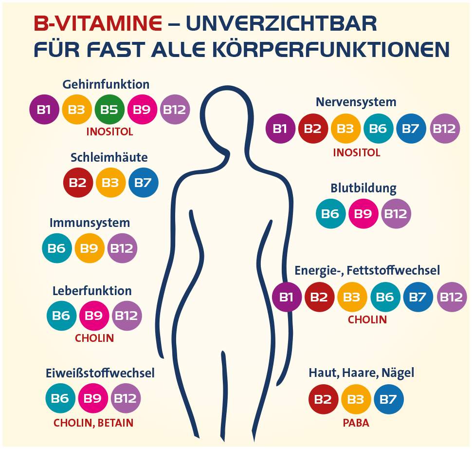 Vitamin B complete Hevert all-in-one 60 Kapseln