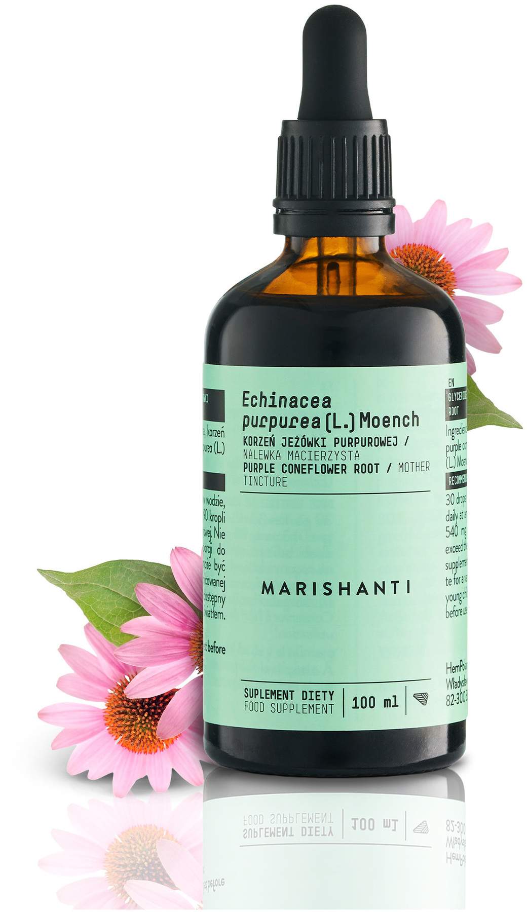 Echinacea Wurzel Extrakt Tropfen alkoholfrei 100 ml