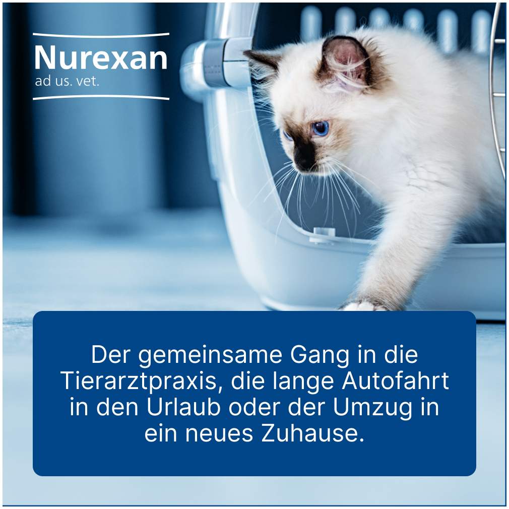 Nurexan Ad Us. vet. 100 Tabletten