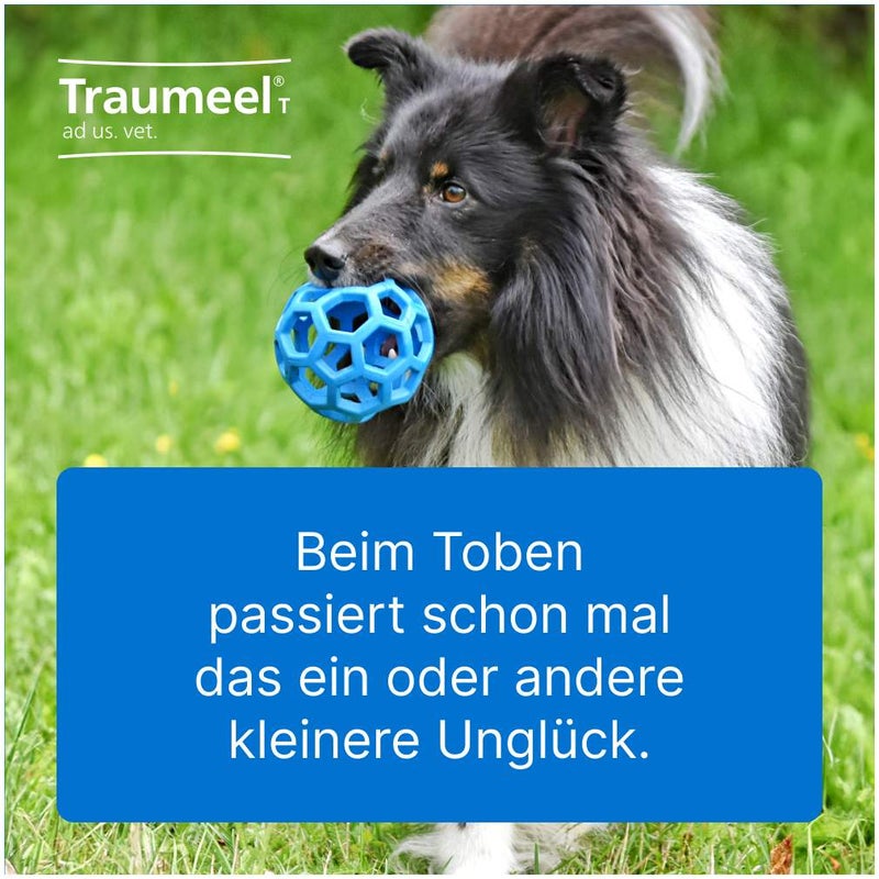 Traumeel T Vet. 100 Tabletten