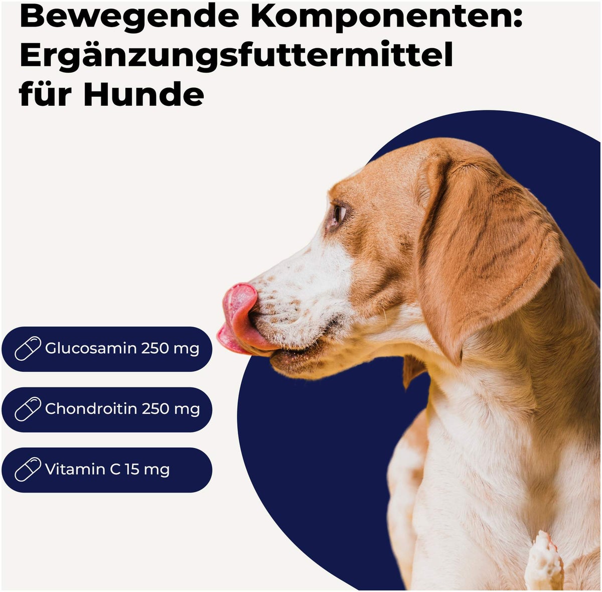 Glucosamin + Chondroitin Für Hunde 120 Kapseln
