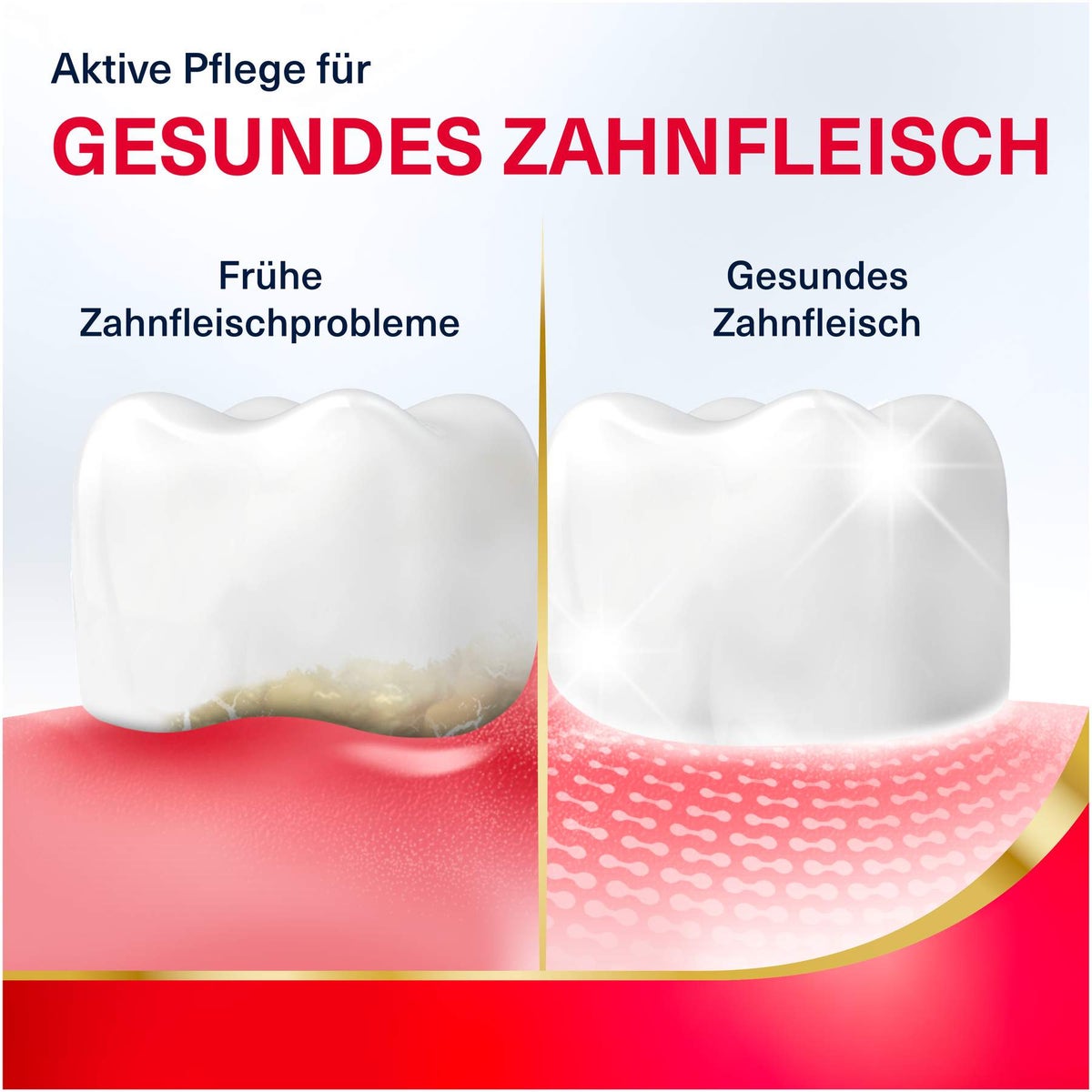 Parodontax Aktive Zahnfleischpflege Repair 300 ml