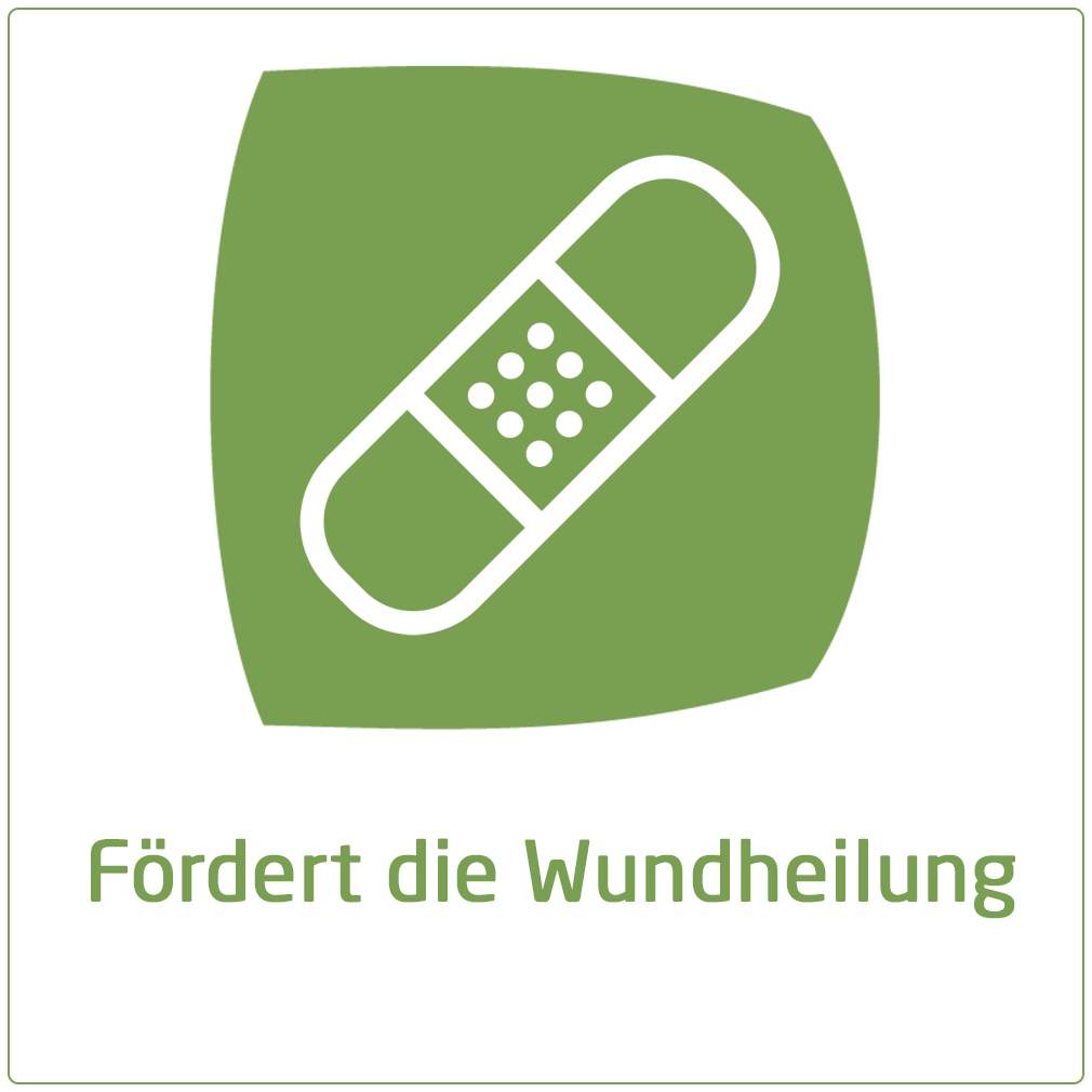 Weleda Calendula Wundsalbe 70 g