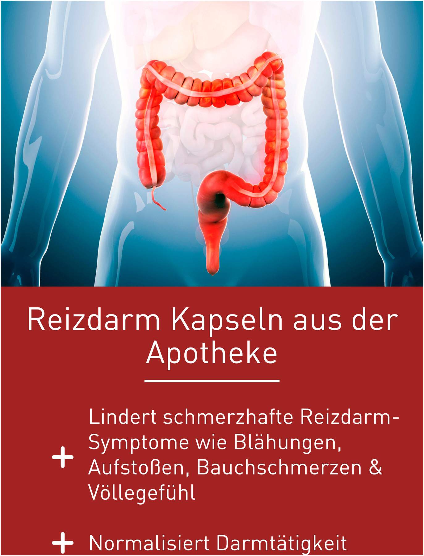 N1 Reizdarm-Syndrom Kapseln 30 Stück
