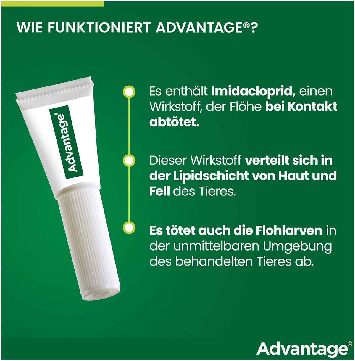 Advantage 80 mg für Katzen und Zierkaninchen über 4 kg 4 x 0,8 ml Lösung