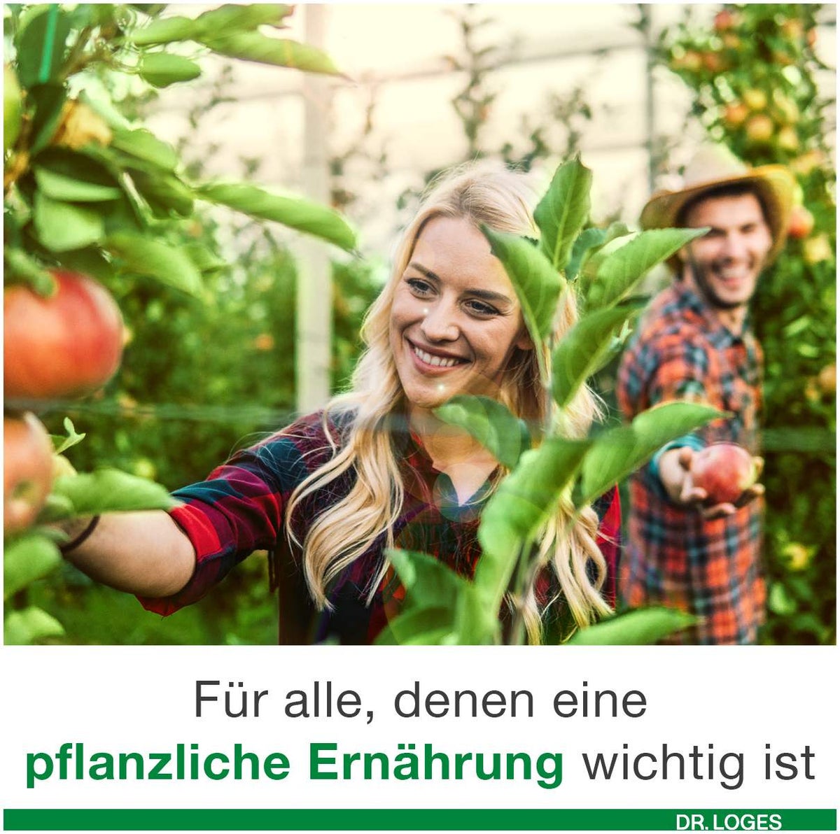 Vitamin D-Loges 7000 I.E. Pflanzlich 90 Weichkapseln