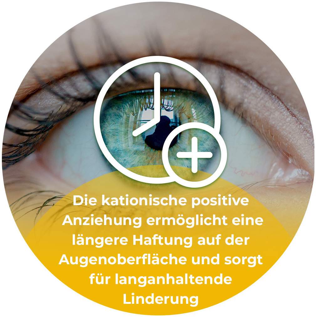 Cationorm MD Sine 10 ml Augentropfen