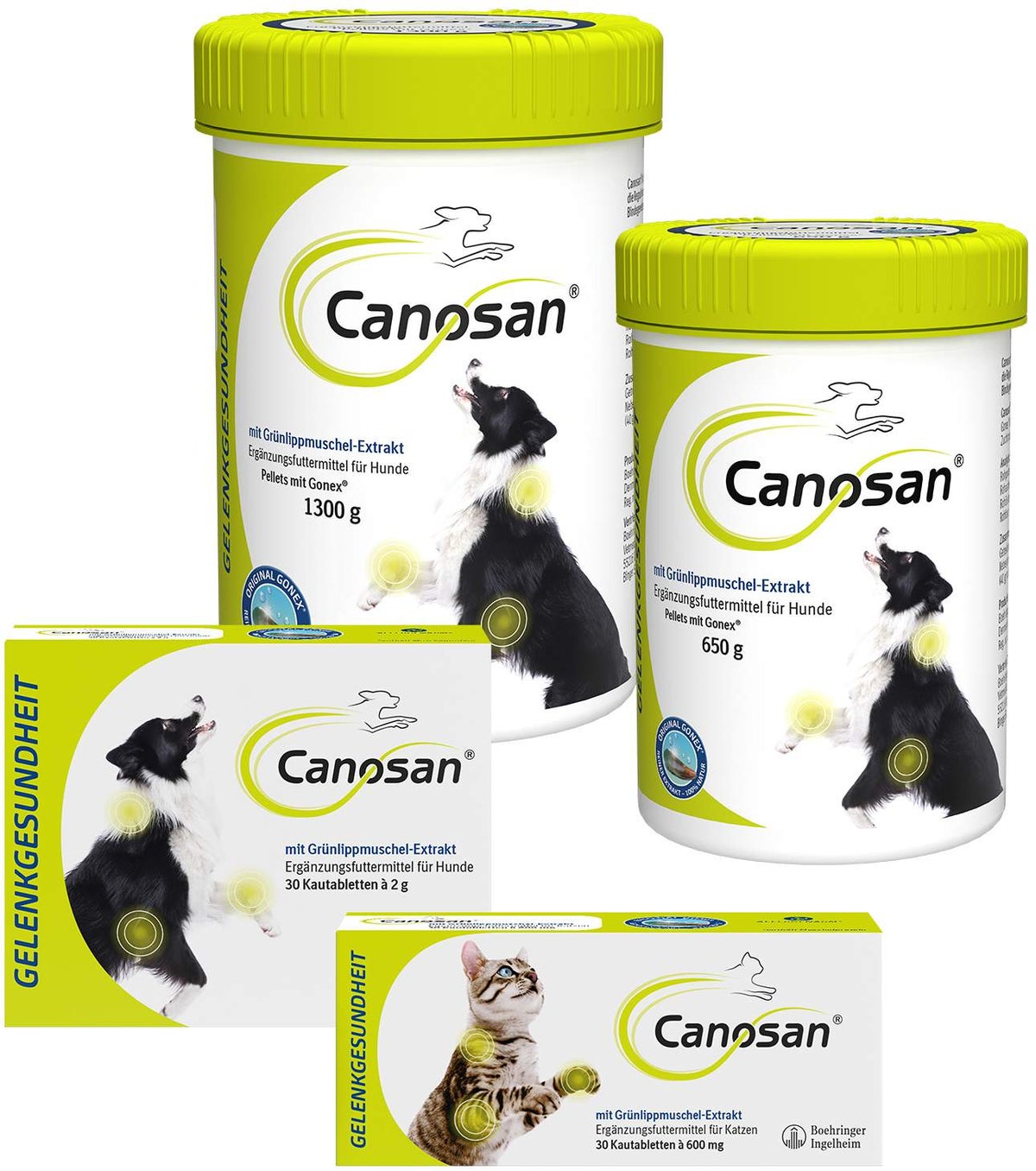 Canosan Konzentrat 1300 g