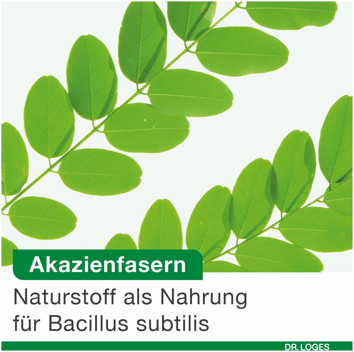 Bioticloges Subtilis 30 Kapseln