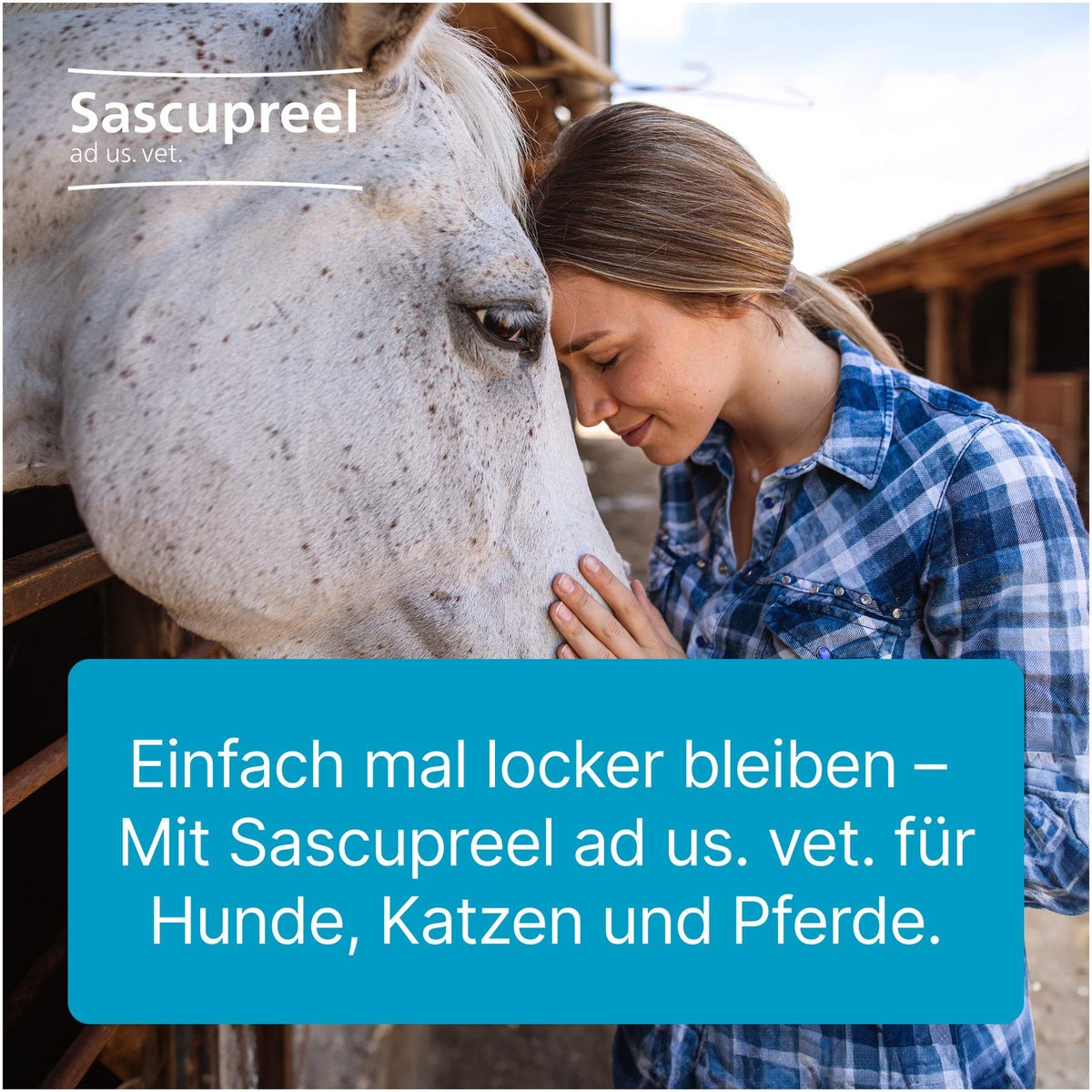 Sascupreel ad us.vet. 50 x 5 ml Ampullen