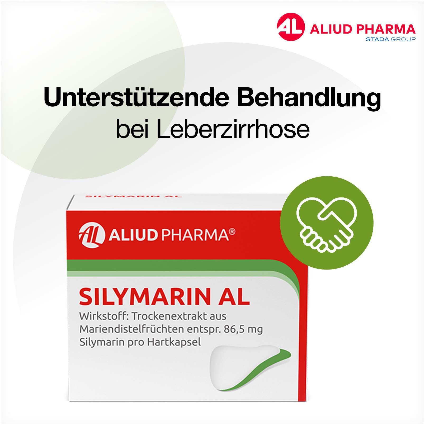 Silymarin Al 100 Hartkapseln
