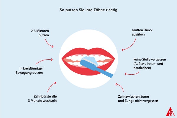 Tipps fürs richtige Zähneputzen Eine Anleitung, wie man richtig die Zähne putzt. Dazu gehören sanft Druck mit der Zahnbürste ausüben, keine Stellen vergessen (Außen-, Innen- und Kauflächen), Zahnzwischenräume und Zunge reinigen, Zahnbürste alle 3 Monate wechseln, in kreisförmigen Bewegungen putzen sowie 2-3 Minuten die Zähne putzen.
