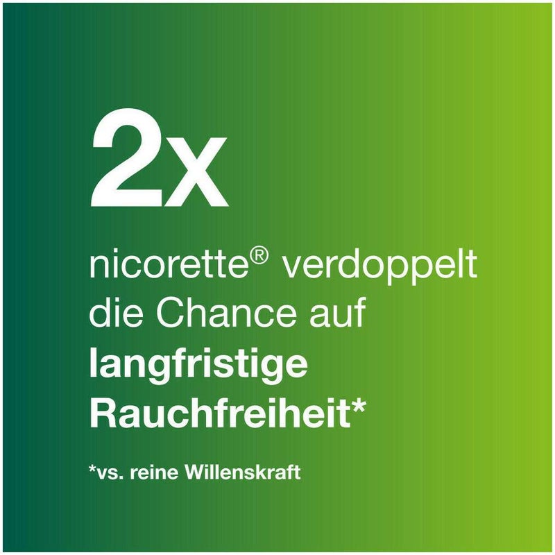 Nicorette Fruit & Mint Spray 1 mg 2 x 2 Stück