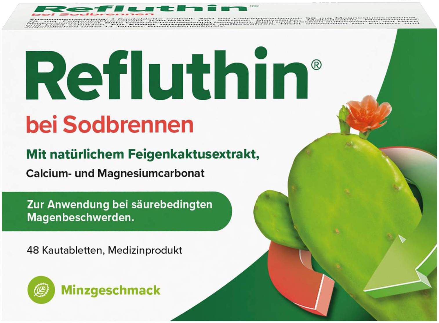 Refluthin Kautabletten Minzgeschmack 48 Stück