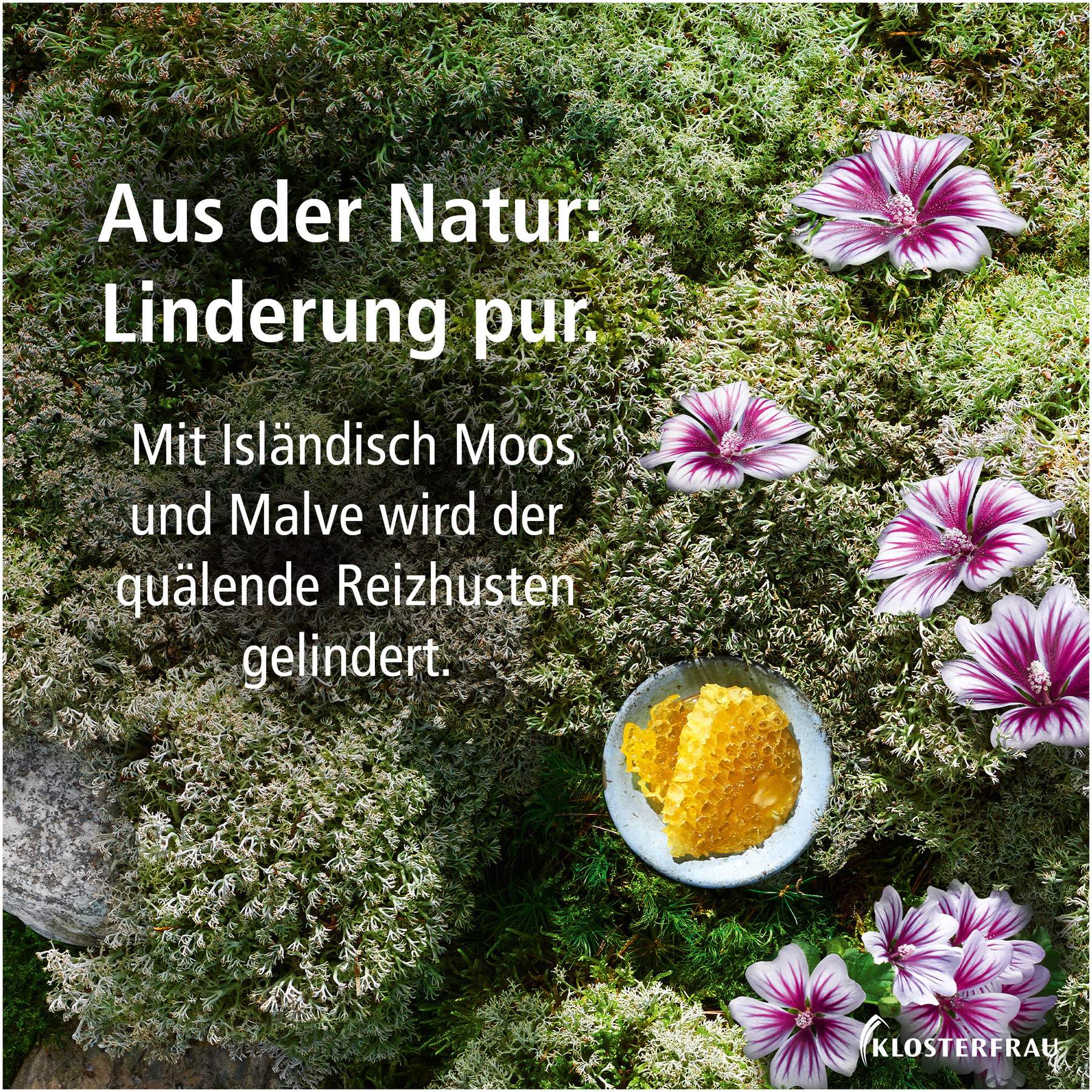 Klosterfrau Bronchial-Husten-Sirup 133 G Sirup