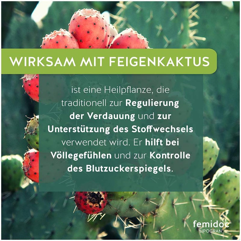 Femidoc Lipogran 180 Tabletten