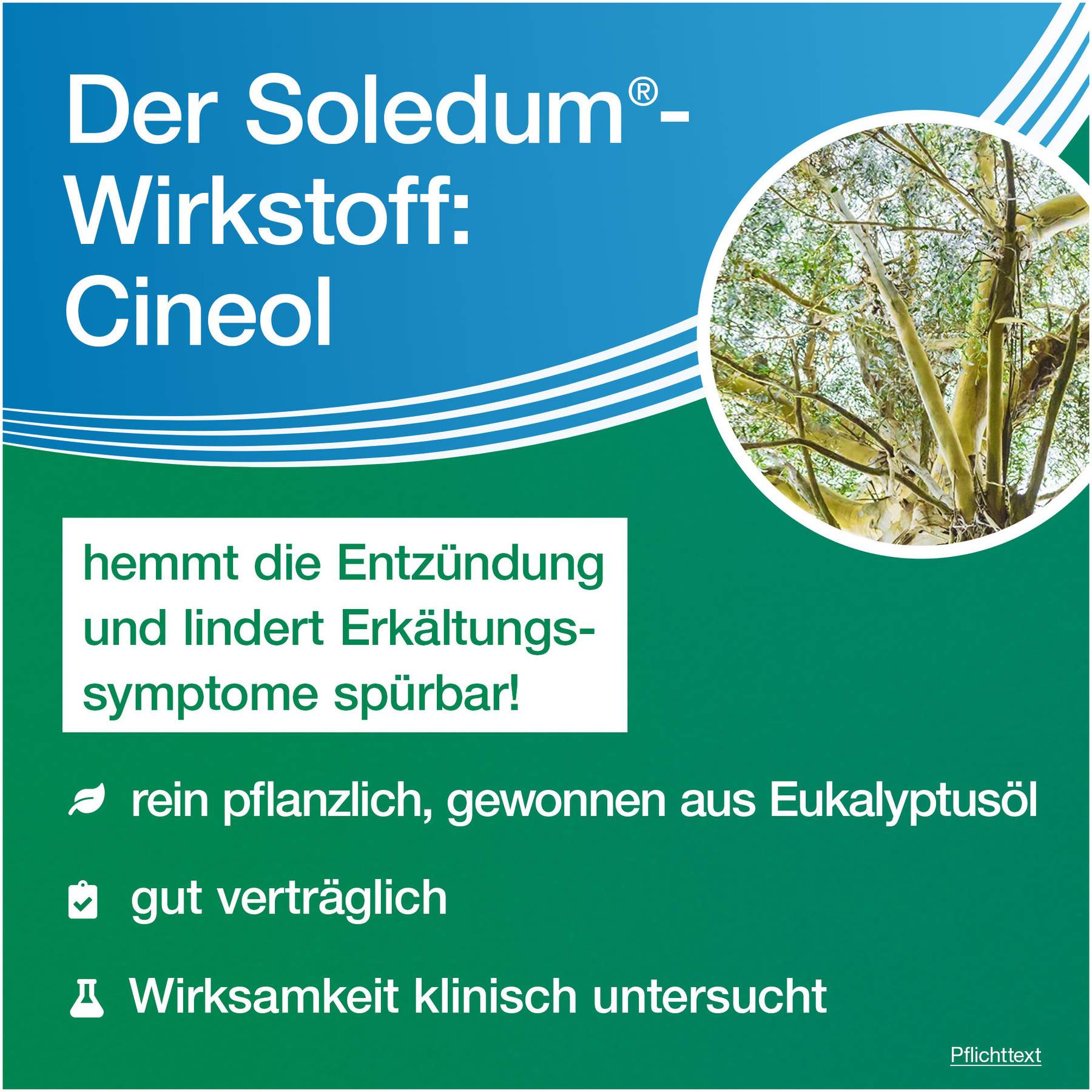 Soledum Kapseln forte 50 magensaftresistente Kapseln